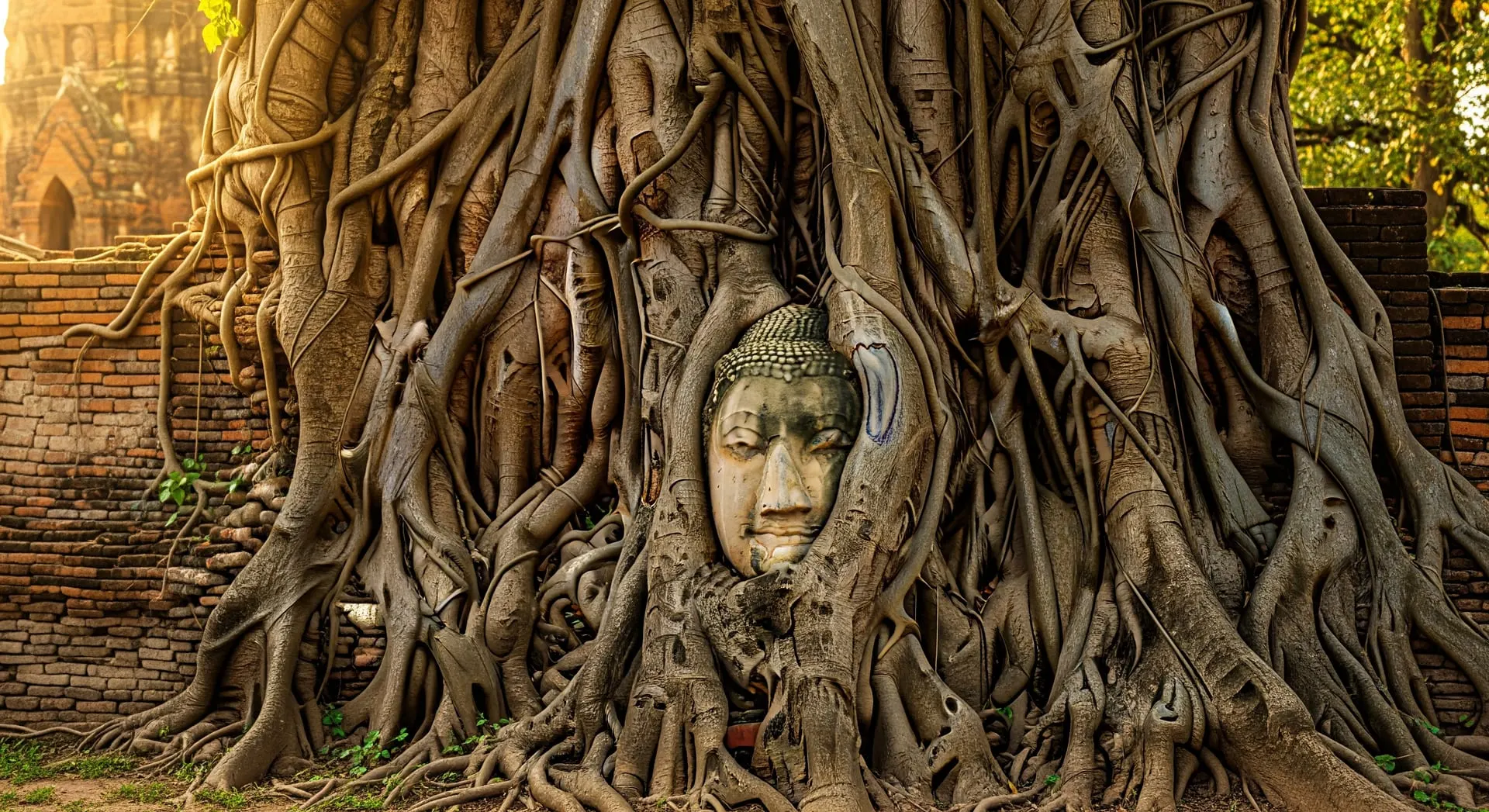 Belgia: arki Thaimaassa DTV-viisumilla